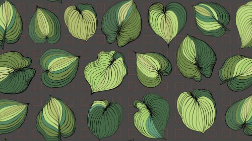 Shiere Melin, surface design, fabric, wallpaper, wrapping paper