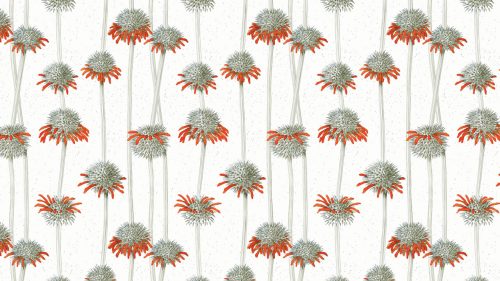 Shiere Melin, surface design, fabric, wallpaper, wrapping paper